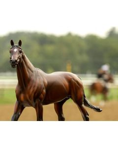 Breyer Thoroughbred Racehorse Cody's Wish BTR10038