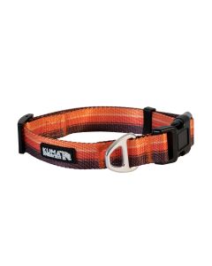Kuma Backtrack Dog Collar Large Orange/Brown