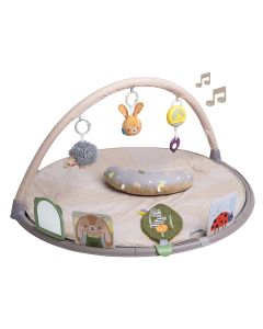 Taf Toys Tummy-Time Activity Gym