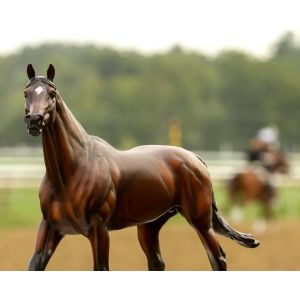 Breyer Thoroughbred Racehorse Cody's Wish BTR10038