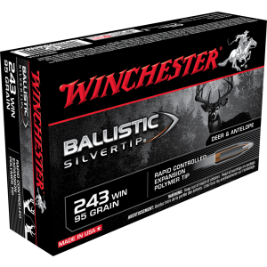 Winchester Ballistic Silvertip 243 Win 95GR SBST243A