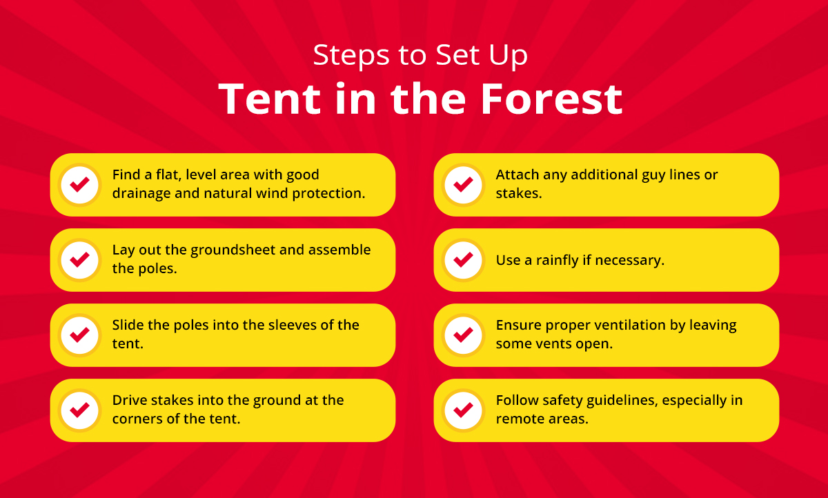 Steps to Set Up Tent in the Forest