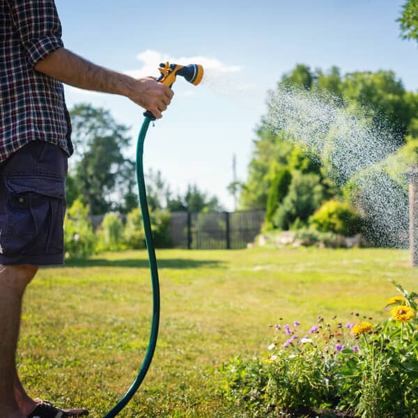 Gardening 101. Here's How to Properly Water Your Garden